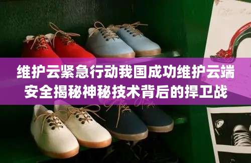 维护云紧急行动我国成功维护云端安全揭秘神秘技术背后的捍卫战